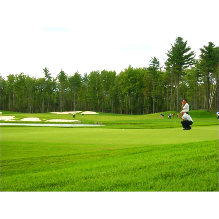 
Manufacturer directly supply high-grade diy mini golf artificial lawn in China 