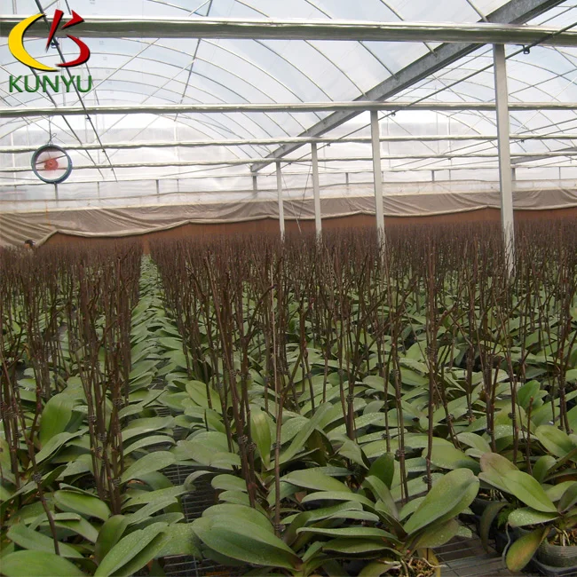 High-grade inflatable agricultural greenhouse for phalaenopsis orchid