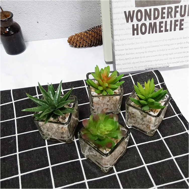 Small Glass Cube artificial succulent mini potted succulent faux plant set