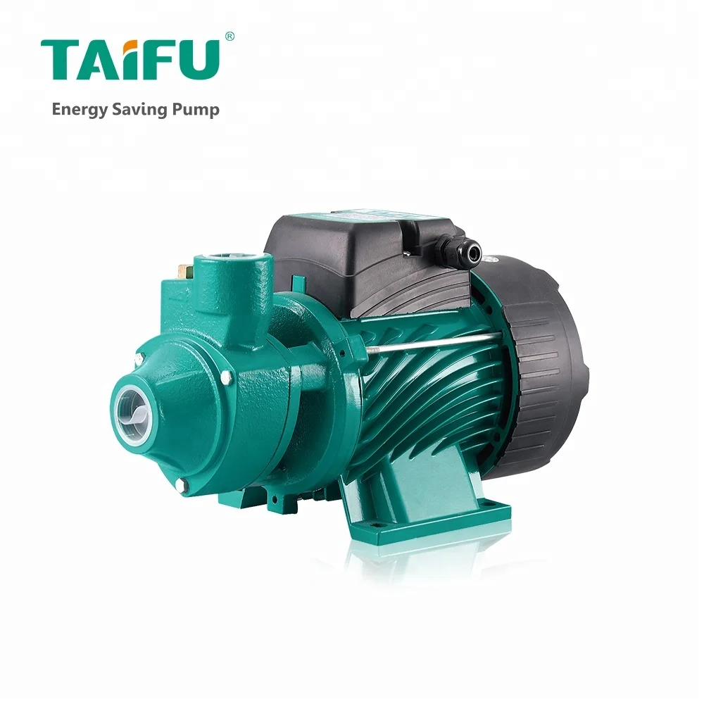 Best price 1/4 0.25 hp general electric rechargeable battery hydrophore suck garden house water pump