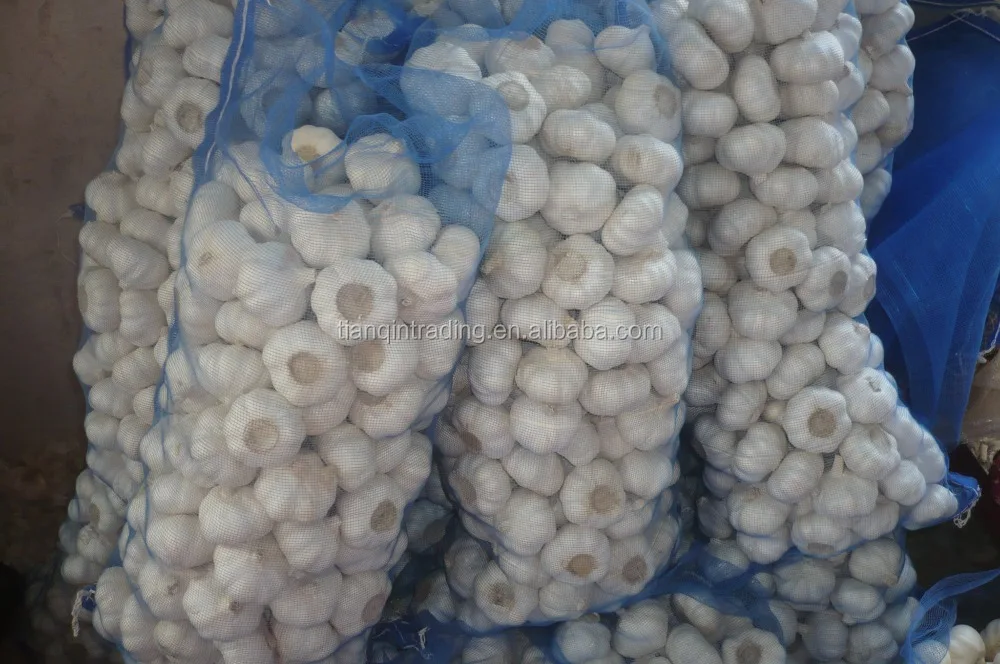 fresh garlic with garlic bag in China