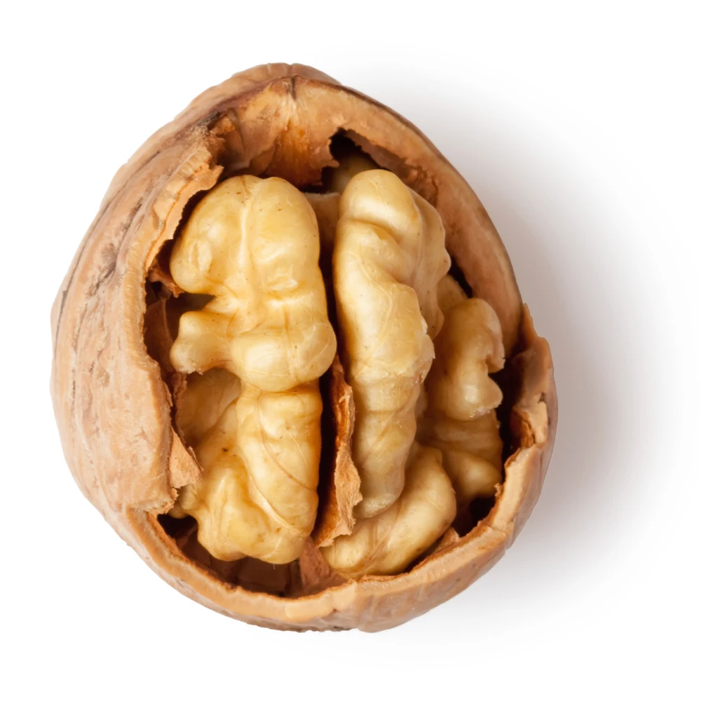 
100% Xinjiang thin skin walnut in shell wholesale 