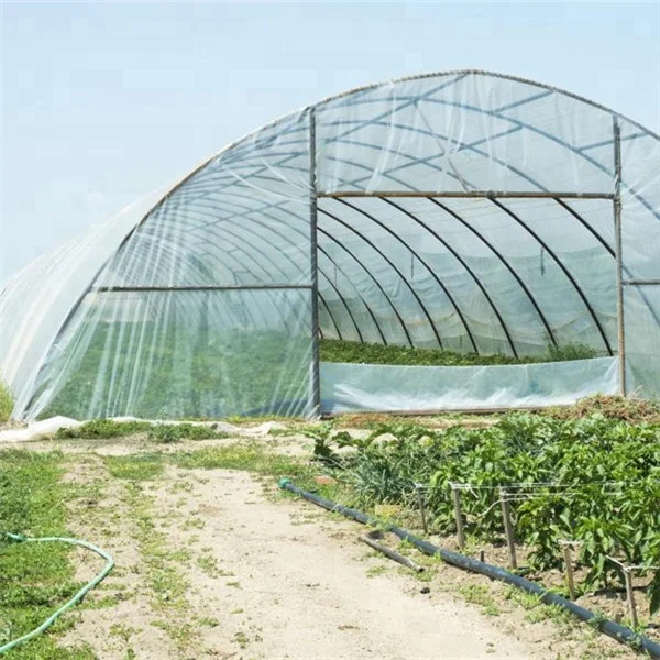 22gsm max 36m uv treatment non woven fabric for agriculture uv resistant protection crop