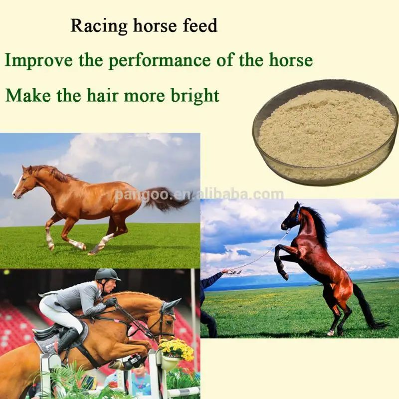  Racing horse food for improving the
