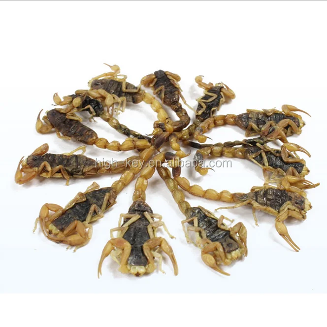 
10016 quan xie chinese medicine herb whole scorpion 
