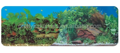 Professional aquarium background with wholesale price