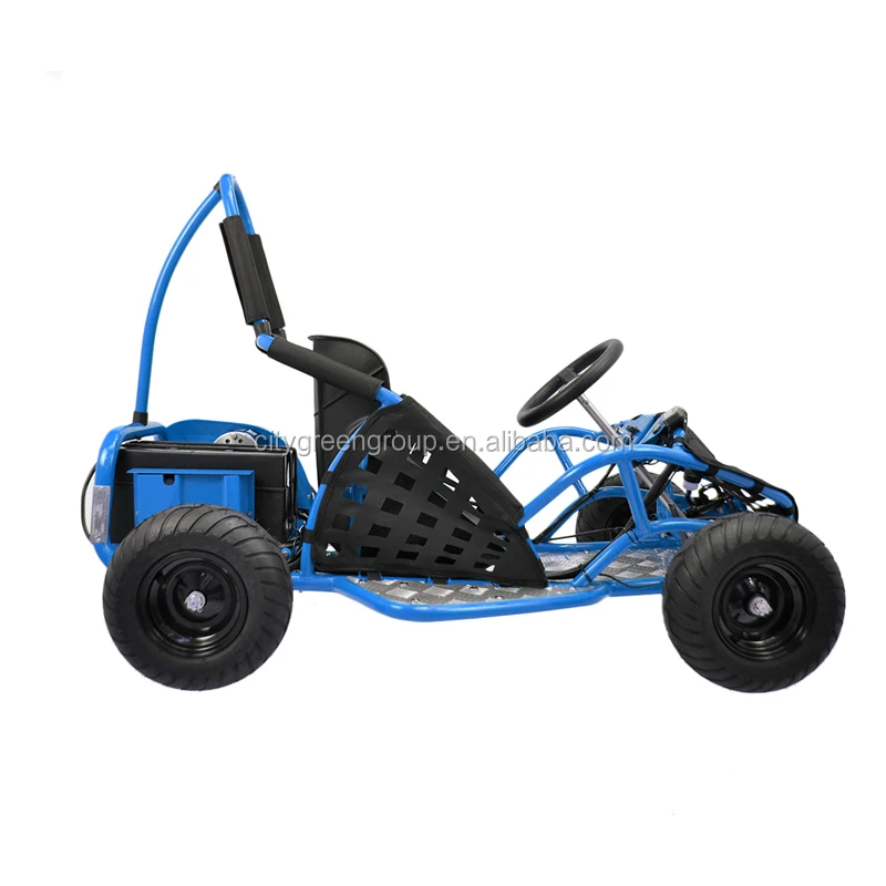 Buggy 1000W/brushless motor