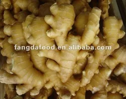 fresh /young fat/air/An qiu ginger