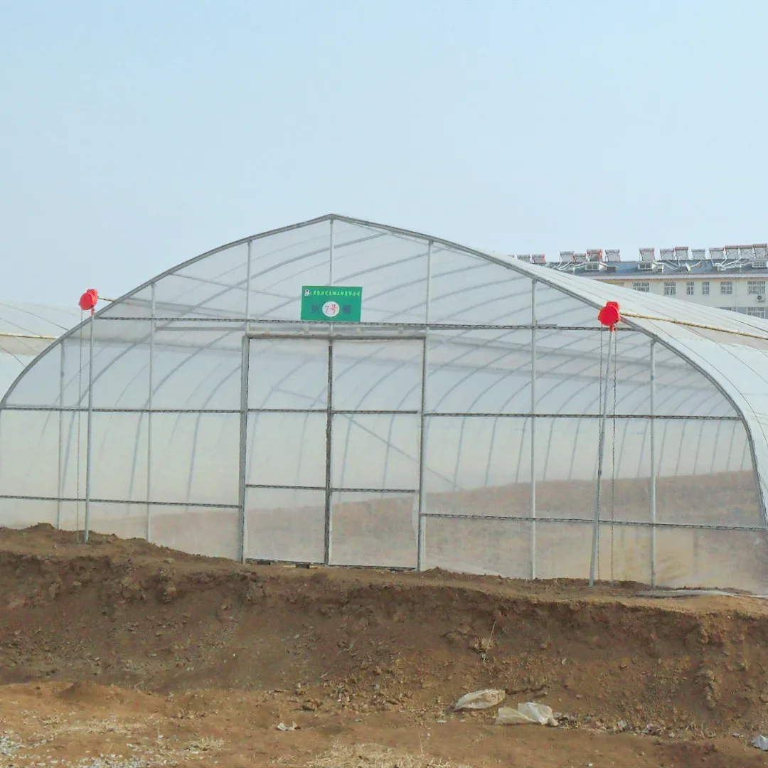 Коммерческая/Сельскохозяйственная Однопролетная пленочная теплица, одобренная парниковым рынком