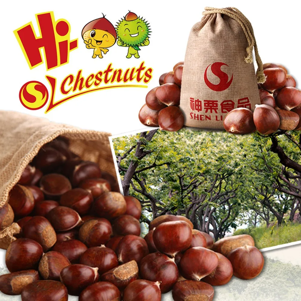 Halal organic sweet nuts snack food