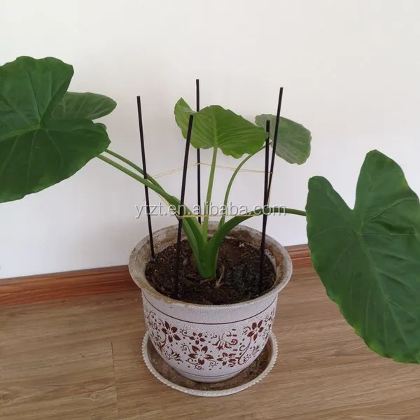 Chinese plastic packing bamboo pole