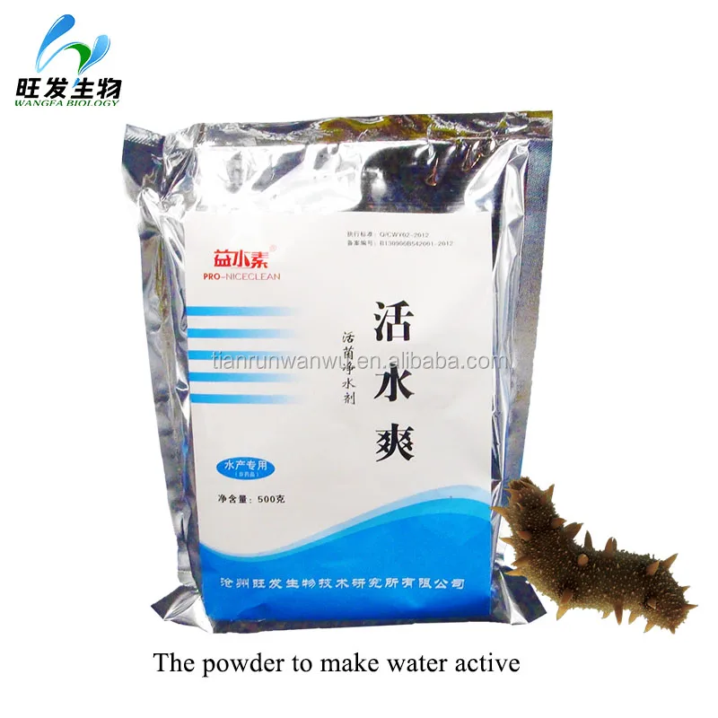 Beneficial microbes powder for aquaculture pond water