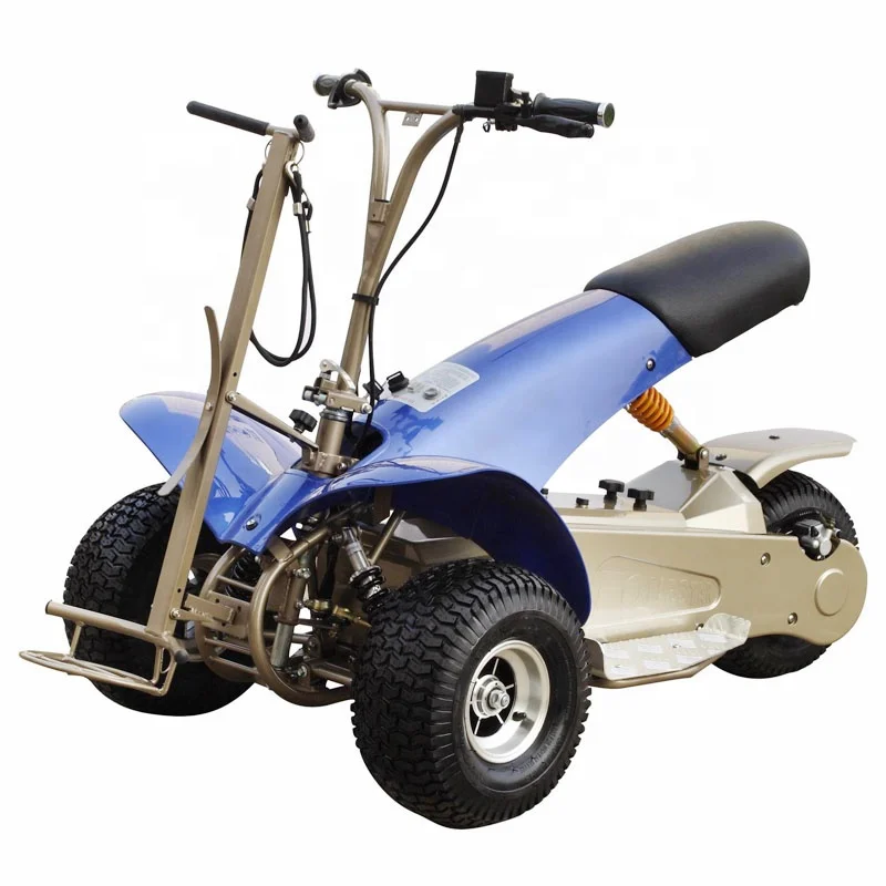 3 Wheels 1000W Electric Golf Scooter
