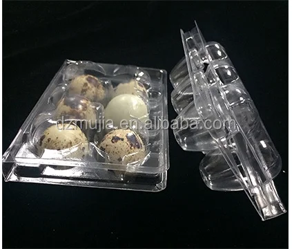 Carton packing box Plastic blister quail egg packing box /quail egg tray for sale
