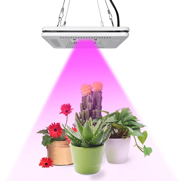 Amazon Hot Sale 100W  Cob LED Grow Kits Light With Led Plant Light For PPFD  Lettuce potato