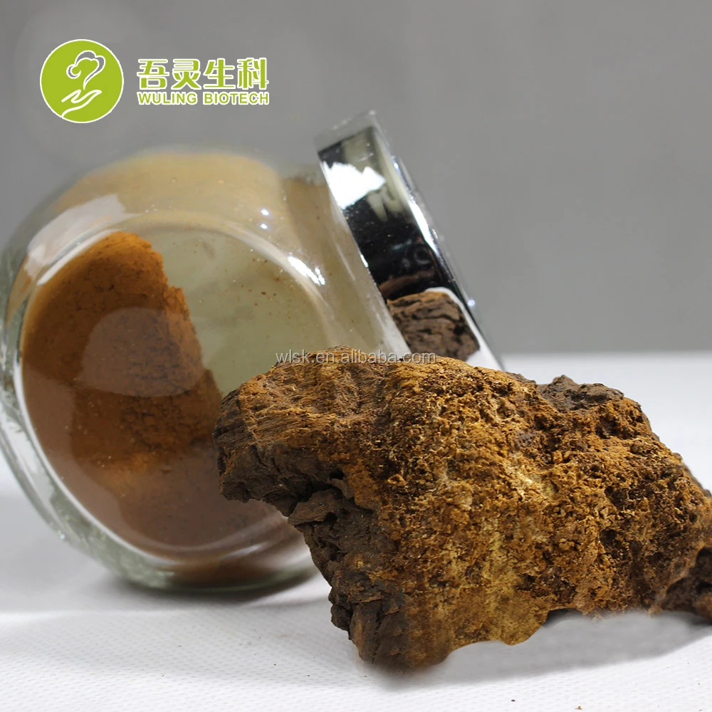 
organic chaga mushroom powder siberian extract 100:1  (60751840988)
