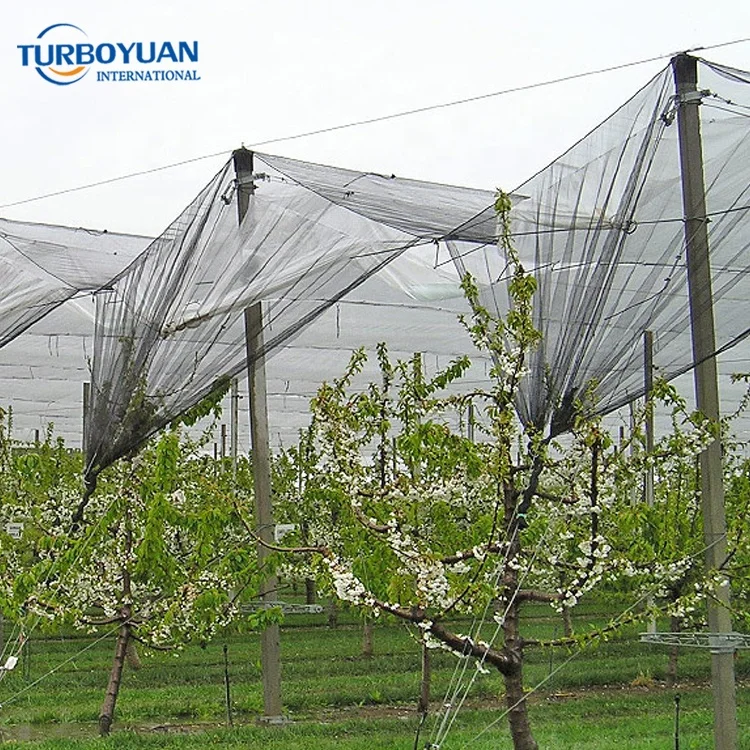 Woven knitted hail protection/guard net / Yemen selvage Anti Hail net for vineyard