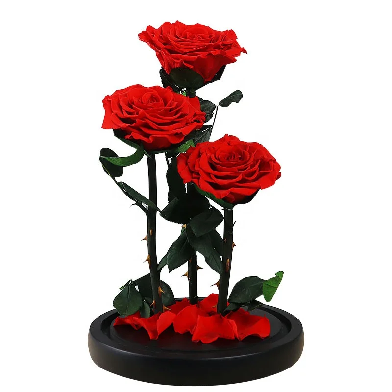 
wholesale real touch preserved flower fresh Preserved roses in glass dome tubes 