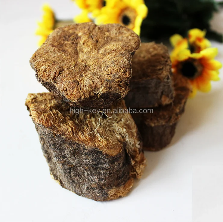 
8006 Awei Best Quality and Ready to Use for Medicine and Food Raw Asafoetida 