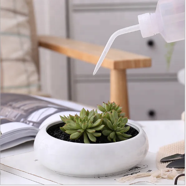 Ellipse fashion home ceramic flower pot