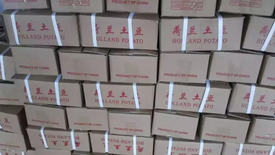 
fresh potatoes fob price 