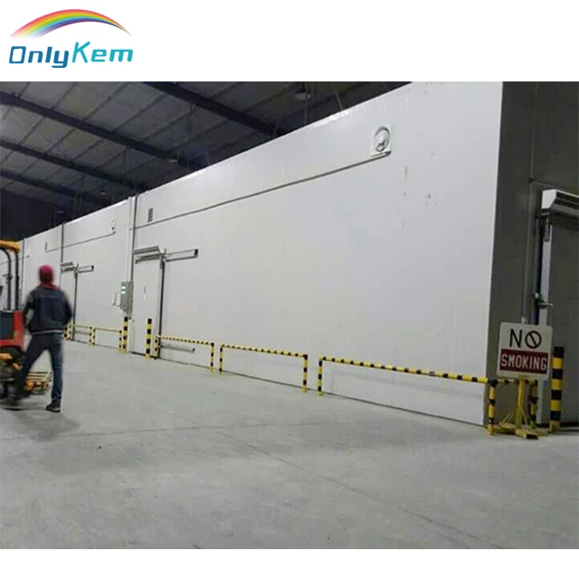 Customized dimension cold freezer room