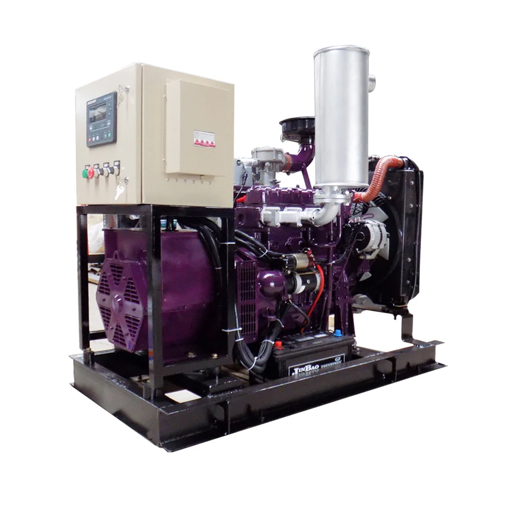 10 кВт, сверхтихий портативный Электрический газовый генератор для домашнего использования, цена