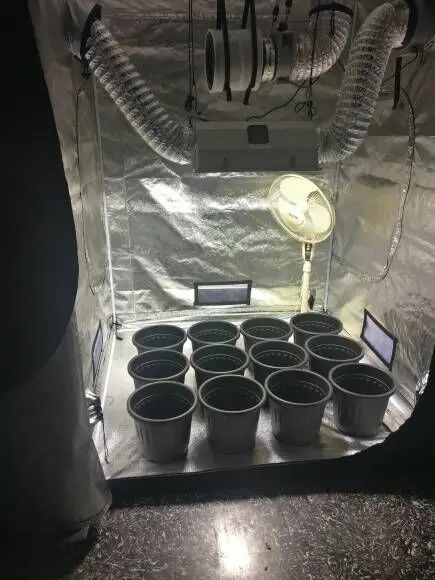 Customized Poly Garden Greenhouse Dark Room Hydroponic Complete Grow Tent Grow Light Kits 150*150*200cm * Indoor Plant Growth