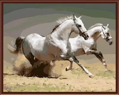 DIY paintings by numbers horse oil paintings GX657