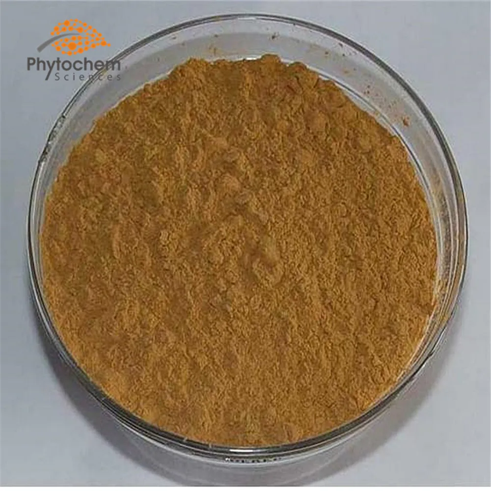 High Quality ginkgoflavon glycosides powder ginkgo biloba extract Ginkgo Leaf Extract