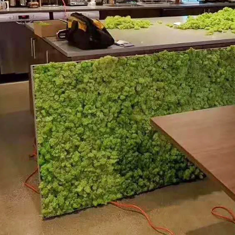 Hot sale vertical artificial natural preserved moss grass wall for shop decor