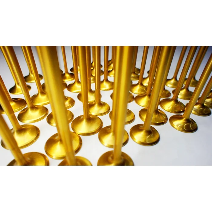 
top quality speed race custom high precision titanium plated engine valve made by your drawing or sample 