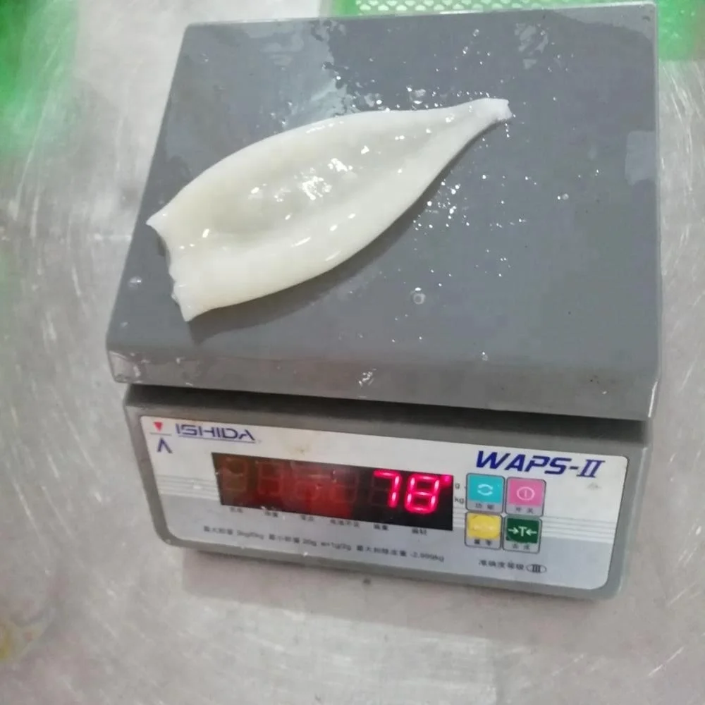 frozen squid tube todarodes pacificus