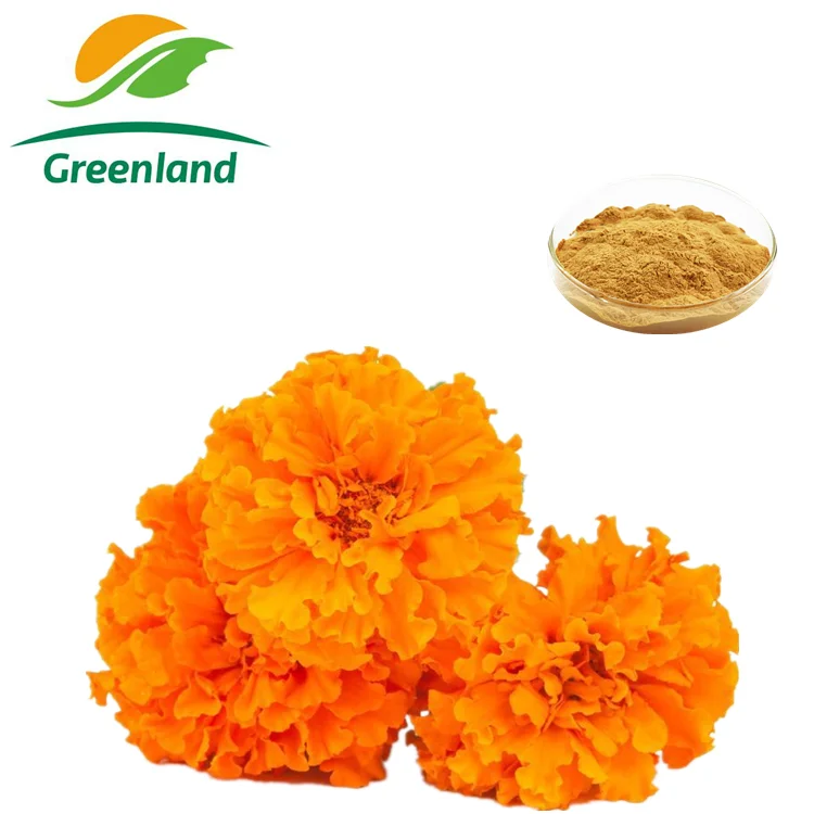 Экстракт цветка календулы с 80% лютеином, поставка с фабрики GMP