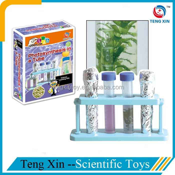 Фотосинтез в Tube--science эксперименты дети
