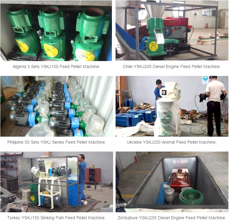 Rotexmaster cow dung pellet machine/pellet machine animal feed