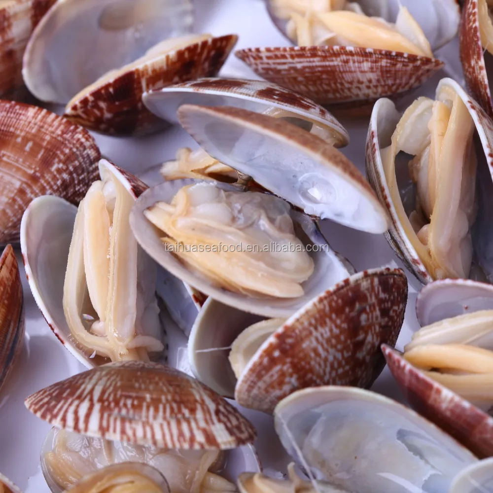 
vacuum packed baby clams 