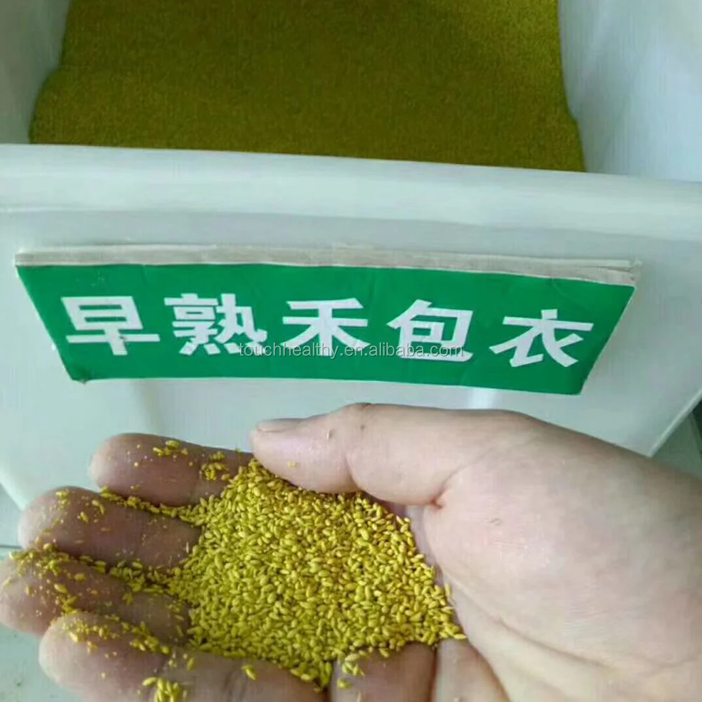 2021 хорошее качество, семена травы Кентукки Bluegrass & turfgrass для поля для гольфа