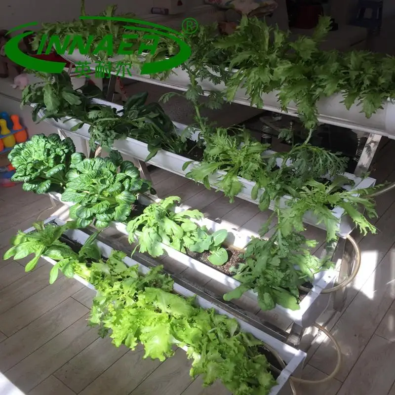 The most popular agricultural products is pinard plant slot