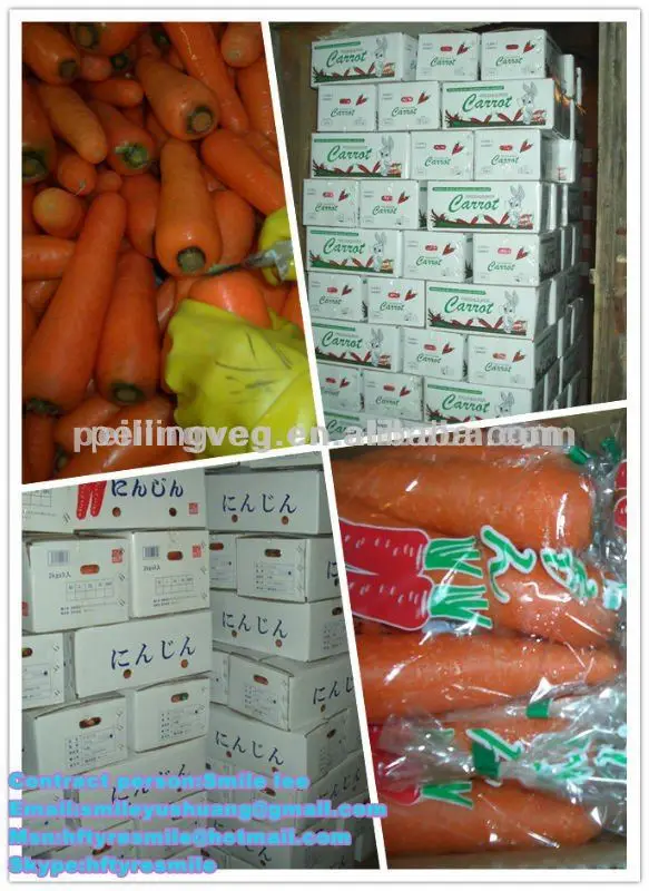 
2013 New Corp Fresh Carrot(Carton Packaging/high quality) 