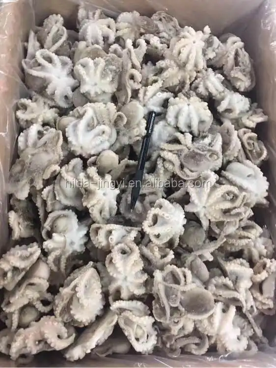 Octopus Frozen Baby Octopus Frozen Wholesale Frozen Baby Octopus