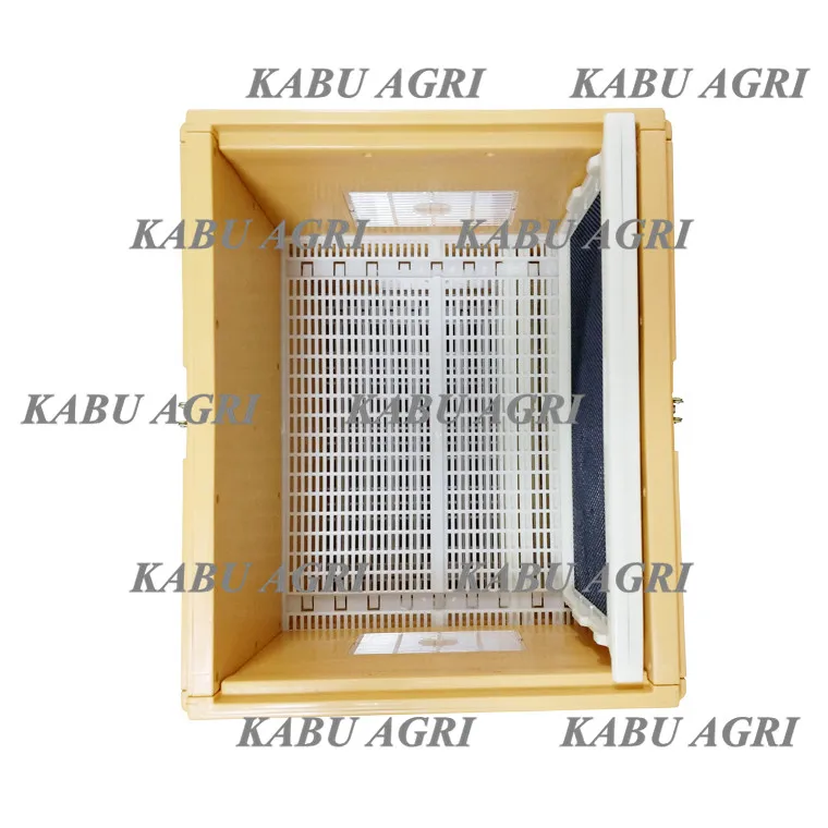 high quality workmanship BPA free Polypropylene plastic 10 frame beehive