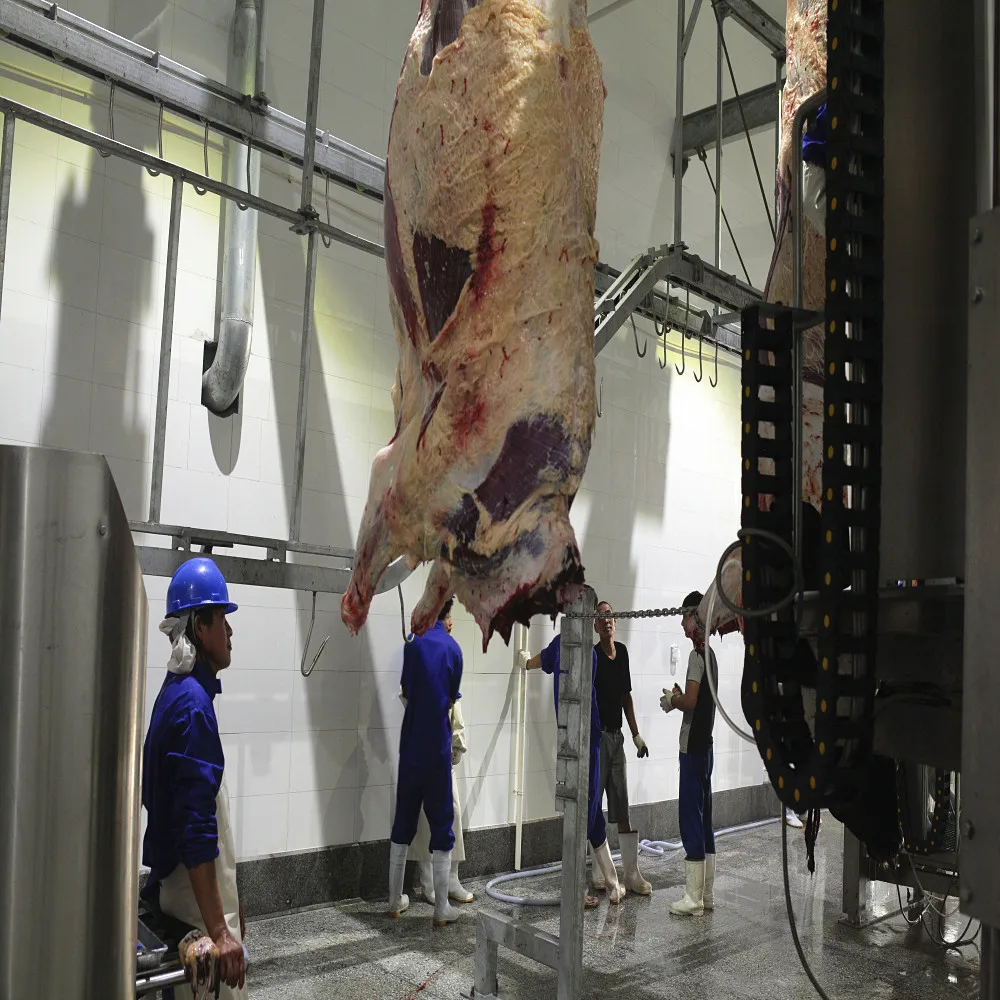 Cow Slaughter Line for Halal Meat Plant Sheep Slaughterhouse Mobile Cattle Process Machine