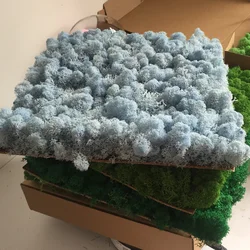 Interior Decoration Office Green Wall Panels Reindeer Preserved Moss