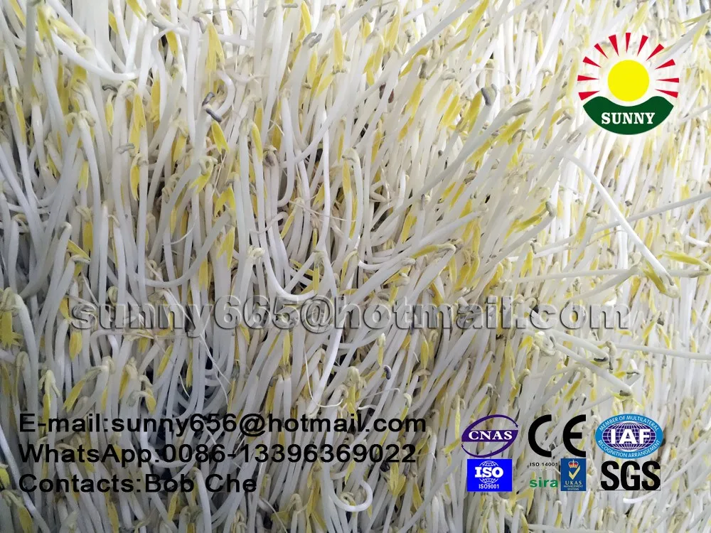 automatic bean sprout growing machine\hydroponics equipment\farm machinery