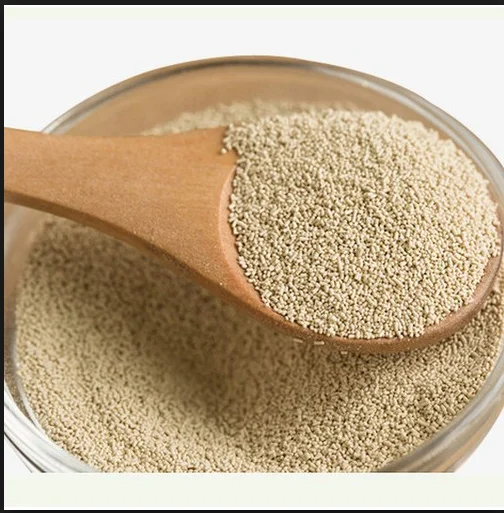 bread Yeast /Insulin / Vaccine / Antibiotics / Lysine etc Production Line, molasses  cassava  extractor