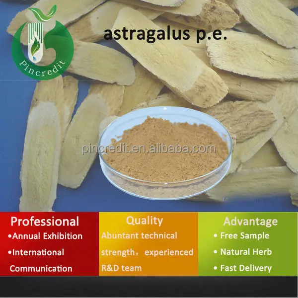 
astragalosides powder/Astragalus Root P.E/astragalus p.e. 