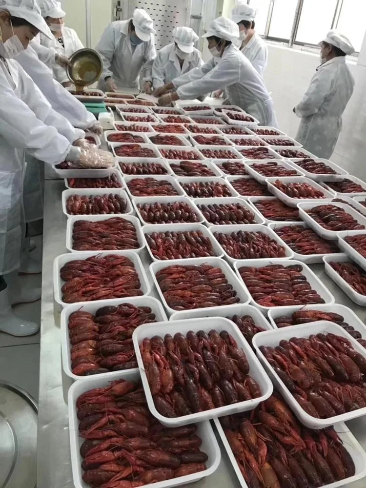 DJL Сухой Ледяной жидкий азот двойного использования туннельный морозильник для лобстеров/ползаков/лангусте