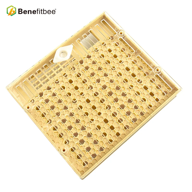 Коробка для вывода пчеловодства из Китая