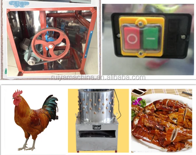 Factory price Chicken plucking machine / Industrial bird plucker chicken feather cleaning machine 0086-15981835029